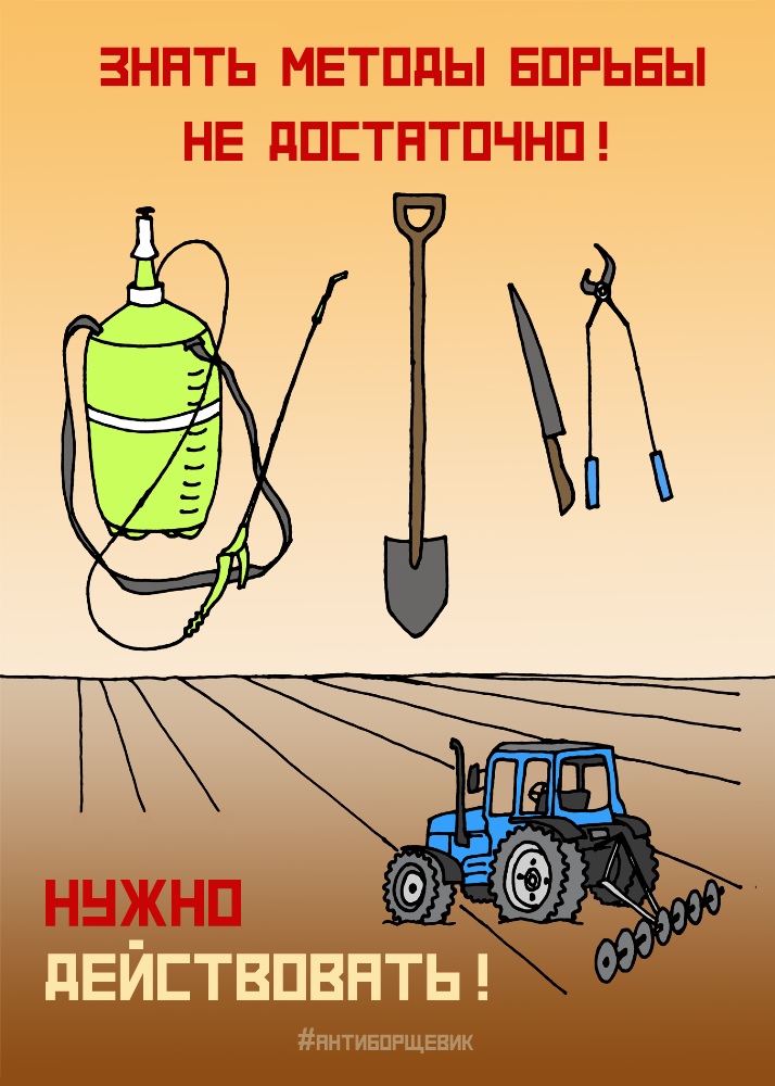 Памятка по борьбе с борщевиком Сосновского