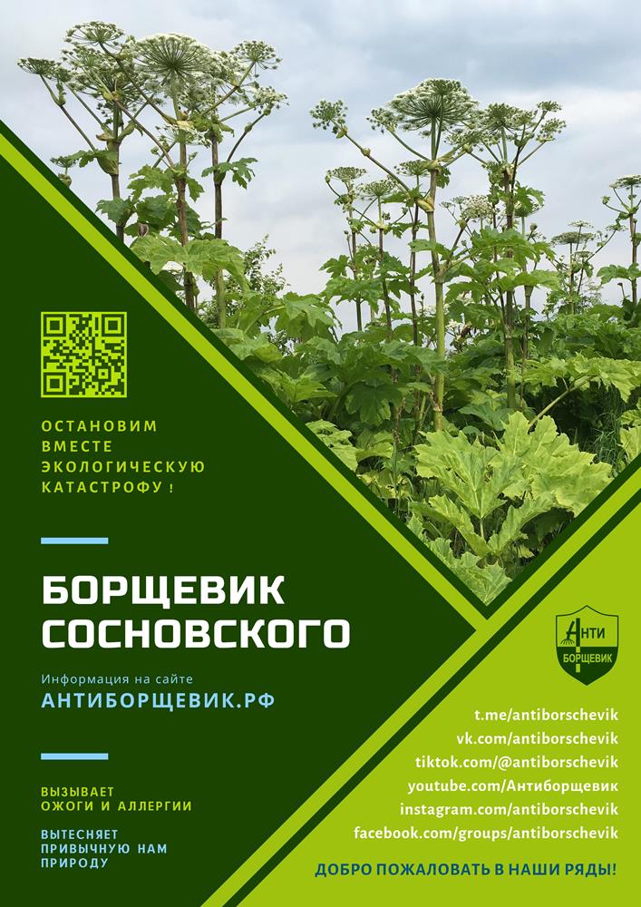Памятка по борьбе с борщевиком Сосновского