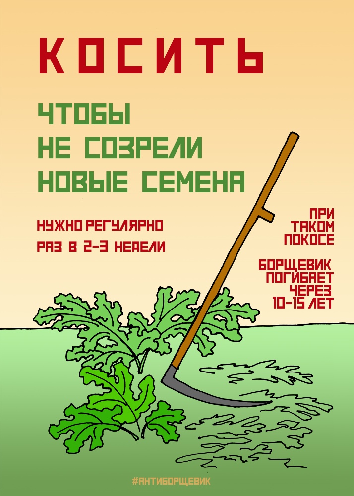 Памятка по борьбе с борщевиком Сосновского