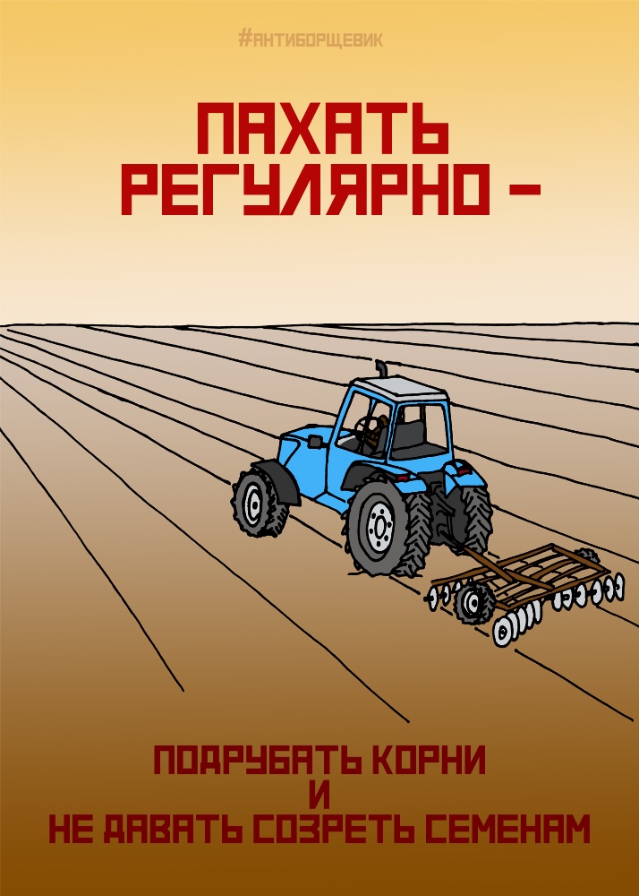 Памятка по борьбе с борщевиком Сосновского
