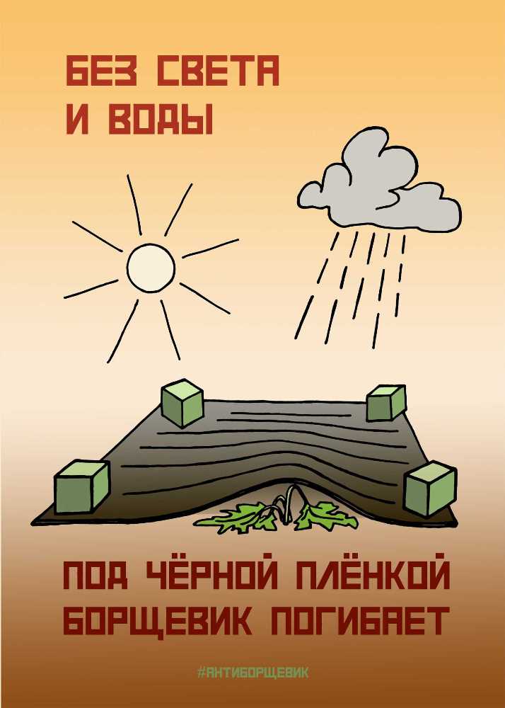 Памятка по борьбе с борщевиком Сосновского
